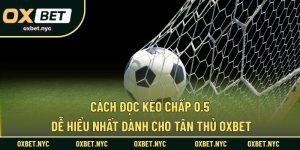 Cách Đọc Kèo Chấp 0.5 Dễ Hiểu Nhất Dành Cho Tân Thủ OXBET