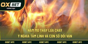 Nằm Mơ Thấy Lửa Cháy – Ý Nghĩa Tâm Linh Và Con Số Đổi Vận
