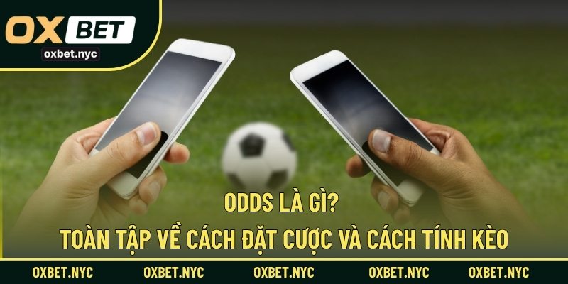 Odds Là Gì? Toàn Tập Về Cách Đặt Cược Và Cách Tính Kèo