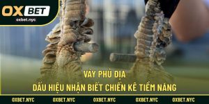 Vảy Phủ Địa – Dấu Hiệu Nhận Biết Chiến Kê Tiềm Năng